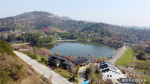 湖北省旅游拍照,湖北旅游打卡