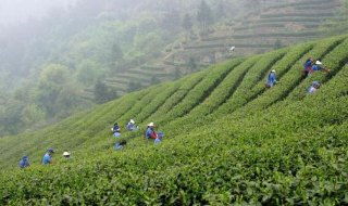 湖北旅游与土特产,湖北旅游特色