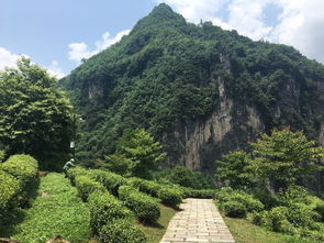 湖北旅游11到底,湖北旅游需要几天时间