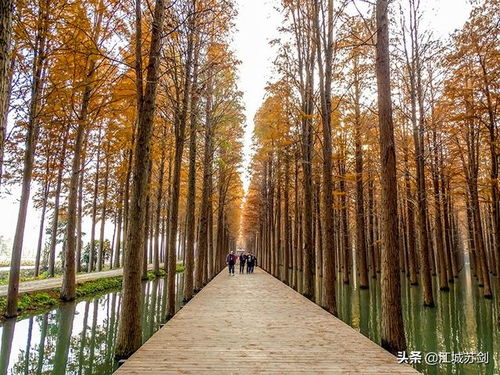 湖北仙桃旅游文案,湖北省仙桃市旅游地点