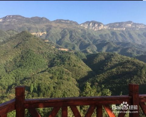 湖北崇阳旅游心得,崇阳旅游攻略