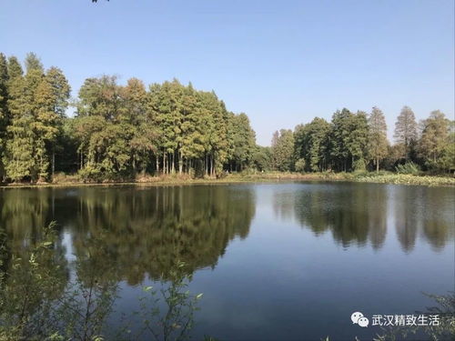 湖北省周边的旅游景点,湖北周边游旅游景点