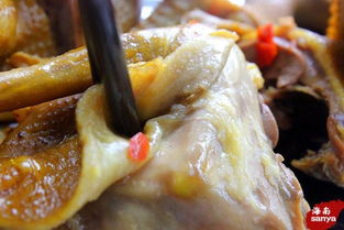 三亚湖北美食,三亚本土美食