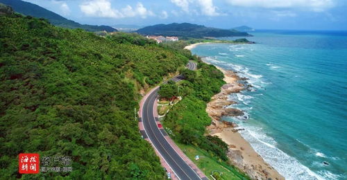 海口旅游政策湖北,海口旅游要隔离吗