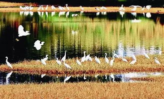 湖北旅游佳佳,湖北旅游网官方网站