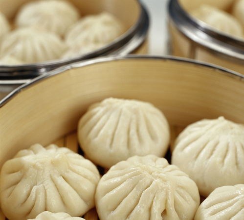 湖北美食汽水包子做法大全,怎样做汽水包子窍门