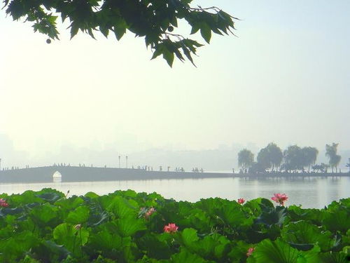 学生党旅游湖北,湖北适合学生旅游的地方