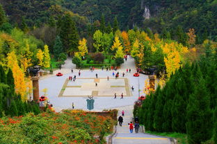 广东长沙湖北旅游,广东湖南旅游攻略自助游