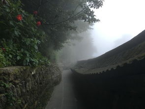 湖北自驾游旅游,湖北自驾游旅游十大必去景区