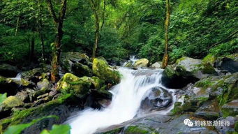 湖北省鹤峰旅游,鹤峰旅游景点大全官网