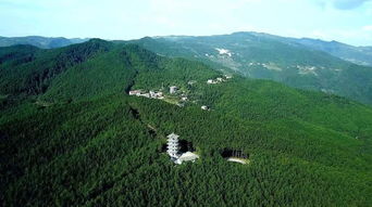 太子山旅游湖北,湖北太子山森林康养基地