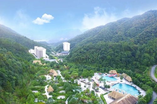 太子山旅游湖北,湖北太子山森林康养基地