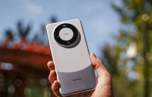 苹果15和华为mate60哪个好,苹果15和华为mate60哪个好拍照