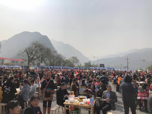 湖北乡村旅游赶大集图片,湖北有赶集吗