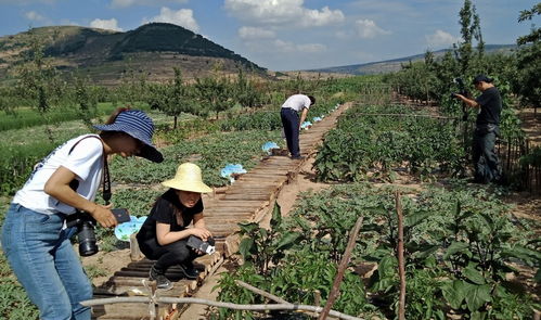 湖北乡村旅游赶大集图片,湖北有赶集吗