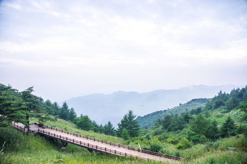 湖北省附近旅游景点,湖北附近的旅游景点哪里好玩