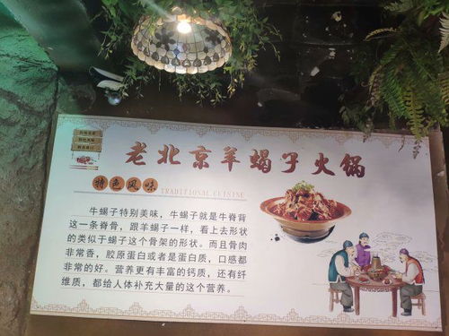 为湖北美食代言的主播有谁,为湖北美食代言的主播有谁啊