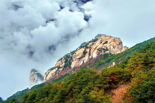 湖北黄冈的旅游景点,湖北黄冈的旅游景点有哪些