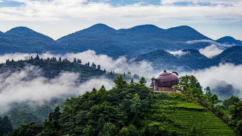 湖北远山旅游,1993年鸡阴历6月29日生