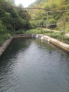 湖北旅游马冲,湖北旅游马蜂窝