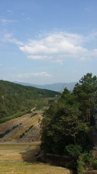 湖北旅游马冲,湖北旅游马蜂窝