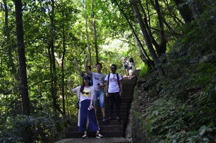 湖北旅游亲子避暑攻略,湖北亲子一日游
