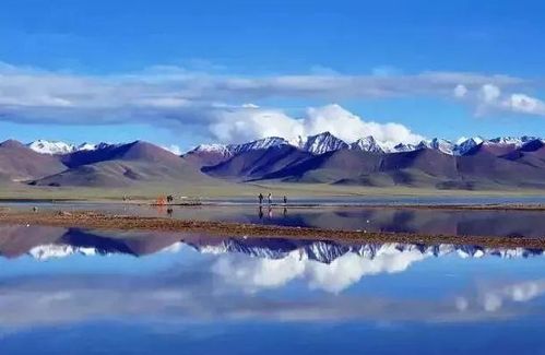 湖北重庆拉萨旅游,重庆到拉萨跟团游