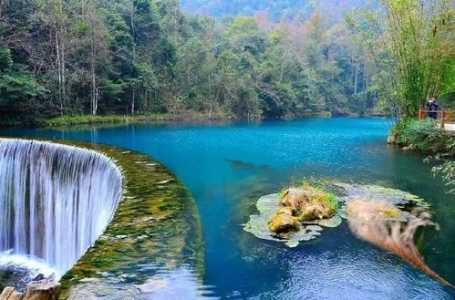 湖北到贵州十一旅游,湖北人到贵州旅游有优惠吗