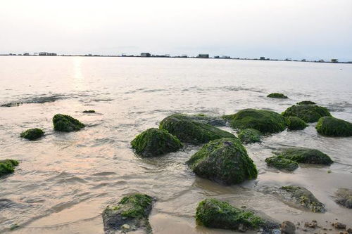 湖北海陵岛旅游,湖北海陵岛旅游攻略
