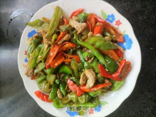 辣椒炒肉湖北美食做法视频,辣椒炒肉湖北美食做法视频大全