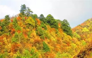 深秋湖北哪里旅游,深秋湖北哪里旅游好玩