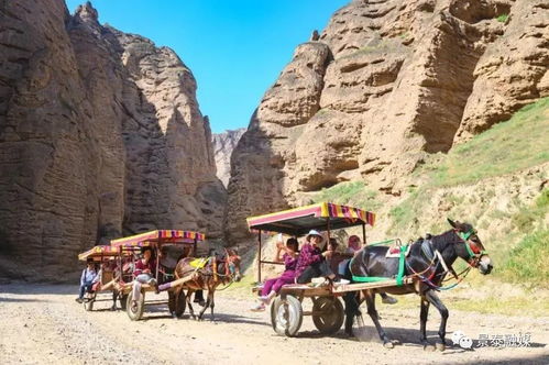 赵正平湖北三冲旅游,湖北三冲旅游开发有限公司