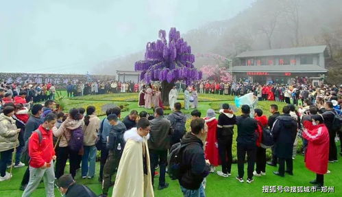 湖北文化旅游大会,栾川每年接待多少游客