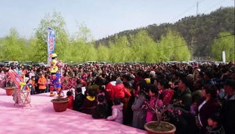 湖北文化旅游大会,栾川每年接待多少游客