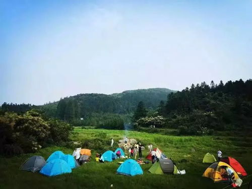 湖北适合避暑亲子旅游,湖北适合亲子的度假村 湖北适合避暑亲子旅游,湖北适合亲子的度假村