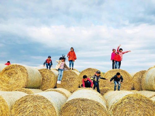 湖北旅游产业扶贫政策,湖北旅游扶贫典型案例