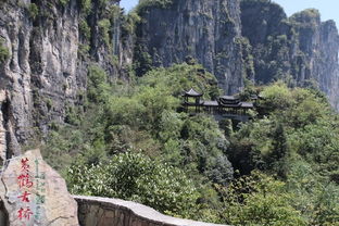 湖北利川旅游文案,利川游记作文 湖北利川旅游文案,利川游记作文