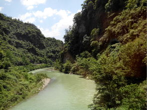 湖北利川旅游文案,利川游记作文 湖北利川旅游文案,利川游记作文