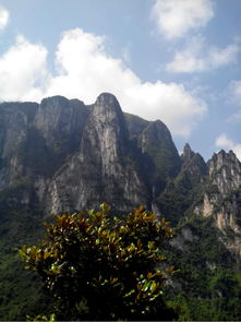 湖北利川旅游文案,利川游记作文 湖北利川旅游文案,利川游记作文