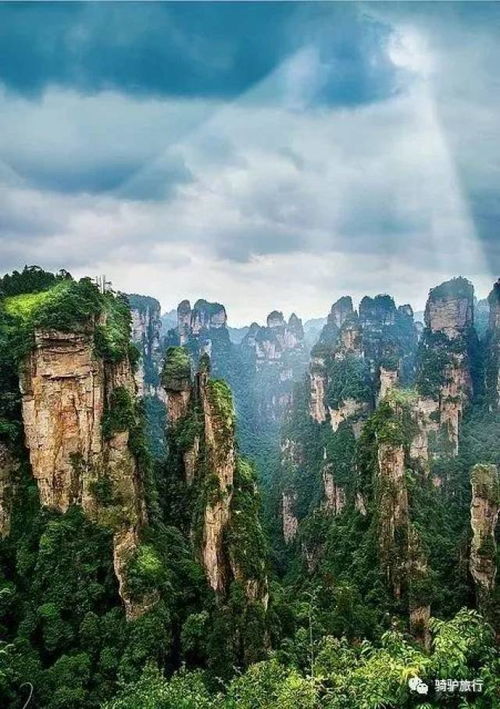 湖北旅游基地排名,湖北旅游榜单