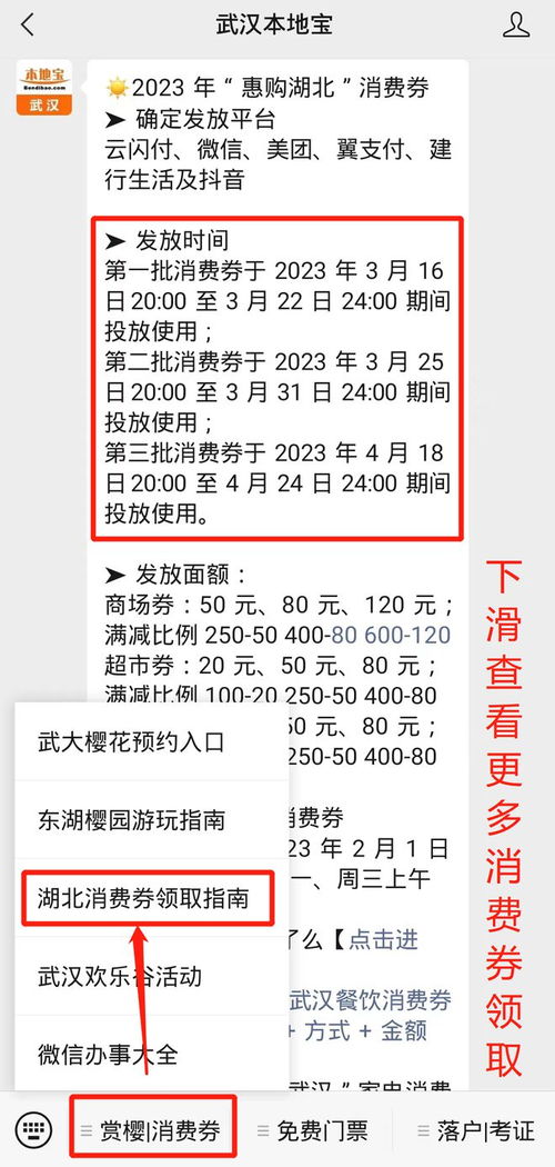 湖北美食消费券怎么领,湖北美食消费券怎么领的