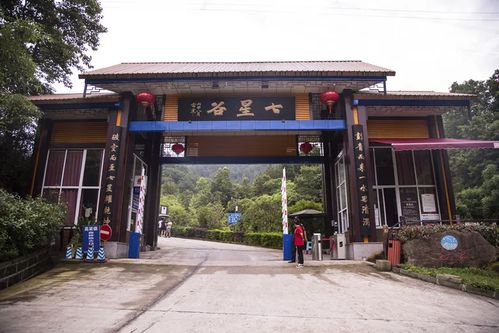 浙江美女去湖北旅游,都说浙江美女多