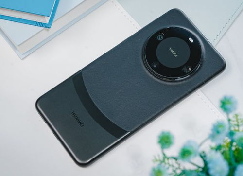 华为mate60拍照评测,华为手机mate60图片 华为mate60拍照评测,华为手机mate60图片