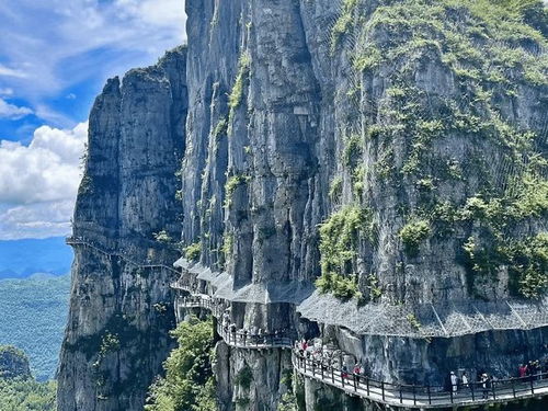 湖北恩施3天旅游公司,湖北恩施旅游团