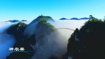 湖北旅游视频最新,湖北旅游视频最新版