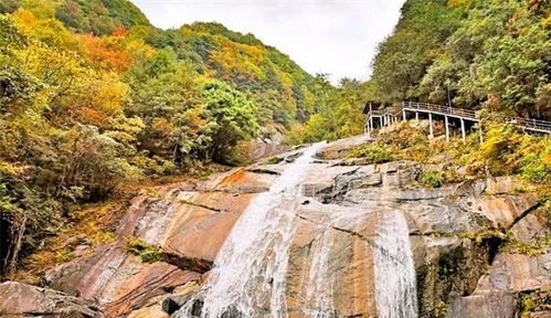 湖北附近夏天旅游推荐,湖北附近夏天旅游推荐路线 湖北附近夏天旅游推荐,湖北附近夏天旅游推荐路线