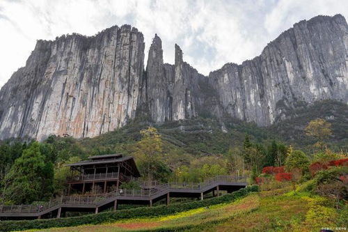 湖北附近夏天旅游推荐,湖北附近夏天旅游推荐路线 湖北附近夏天旅游推荐,湖北附近夏天旅游推荐路线