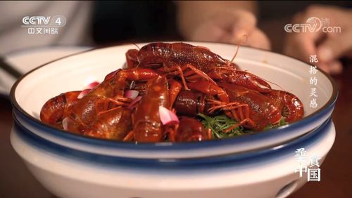 央视湖北美食节目,央视湖北美食节目有哪些