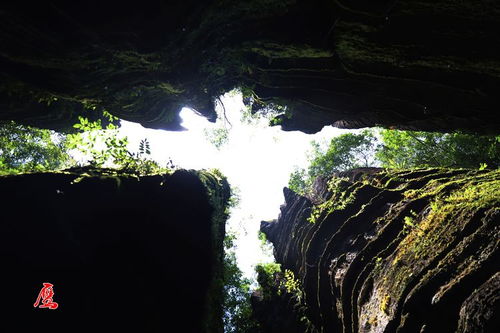 湖北本地旅游,湖北本地旅游景点排名