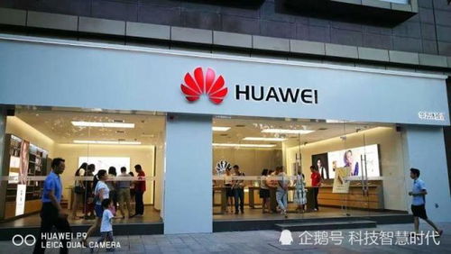 东北华为线下店mate60,东北最大华为体验店 东北华为线下店mate60,东北最大华为体验店